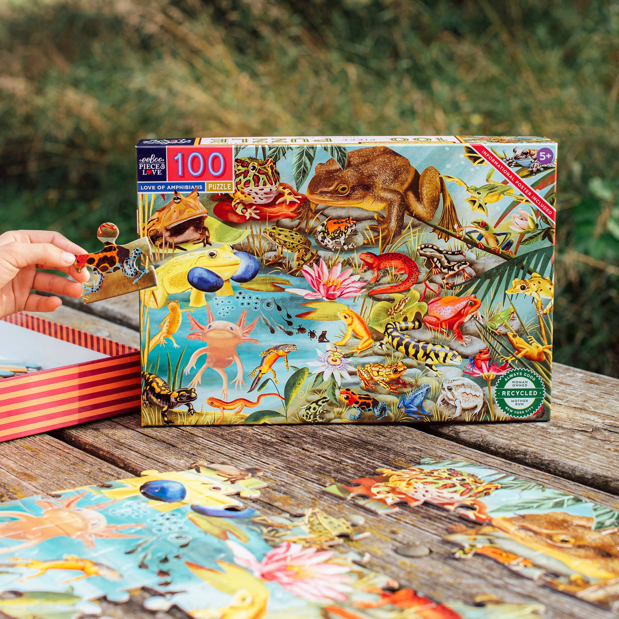 100pc Love of Amphibians Puzzle box with detailed amphibian illustrations and a hand holding a puzzle piece outdoors.
