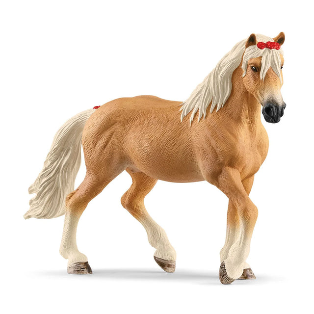 Horse Haflinger Mare trotting with red bows in her white mane and tail, standing on a white background.