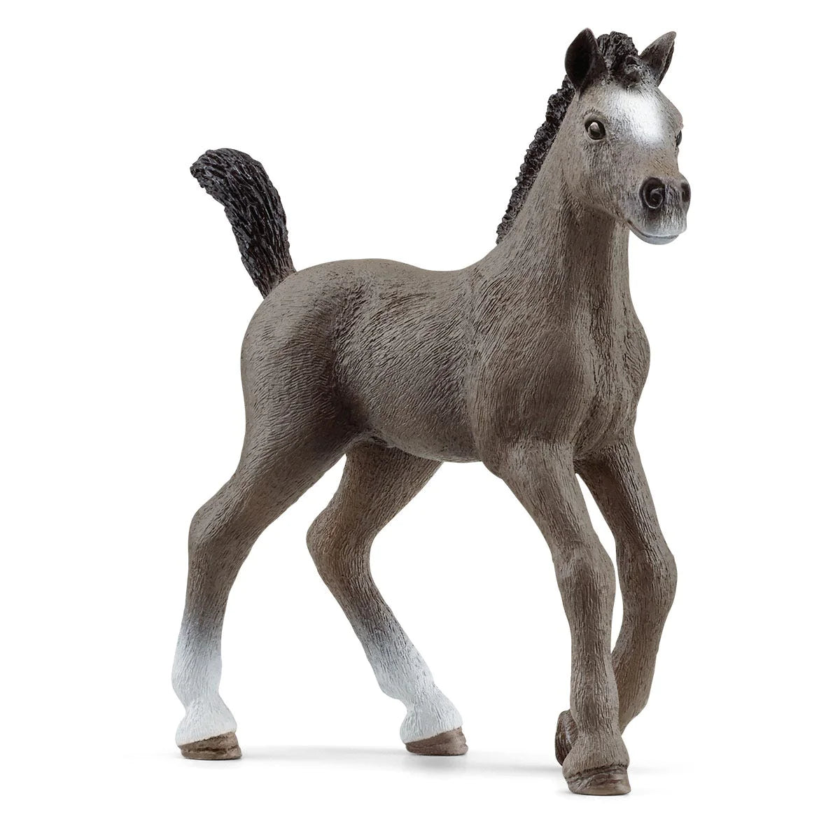 Horse Cheval de Selle Francais Foal figurine with pricked ears and playful pose standing on white background.