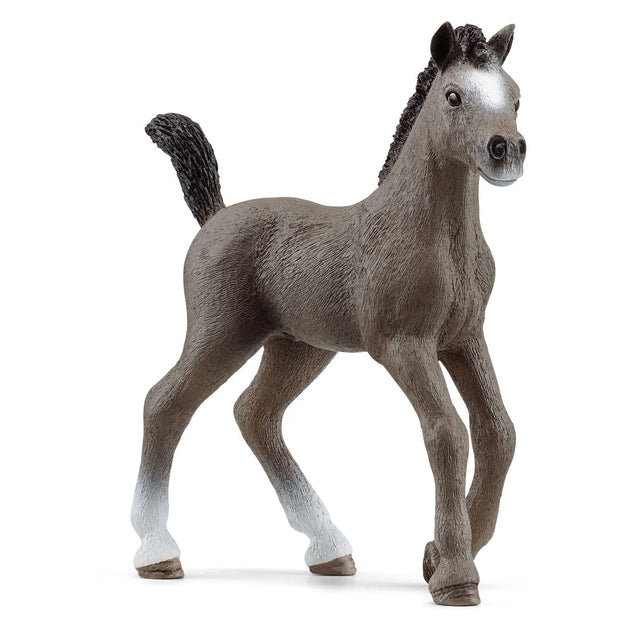 Horse Cheval de Selle Francais Foal figurine with pricked ears and playful pose standing on white background.
