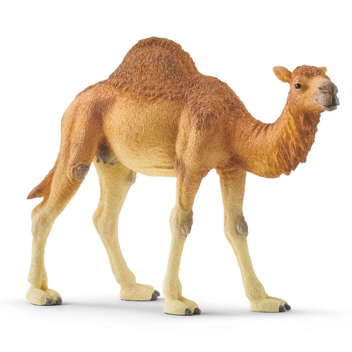 Dromedary model with one hump, detailed and realistic, perfect for ages 3+ with accurate desert animal features.