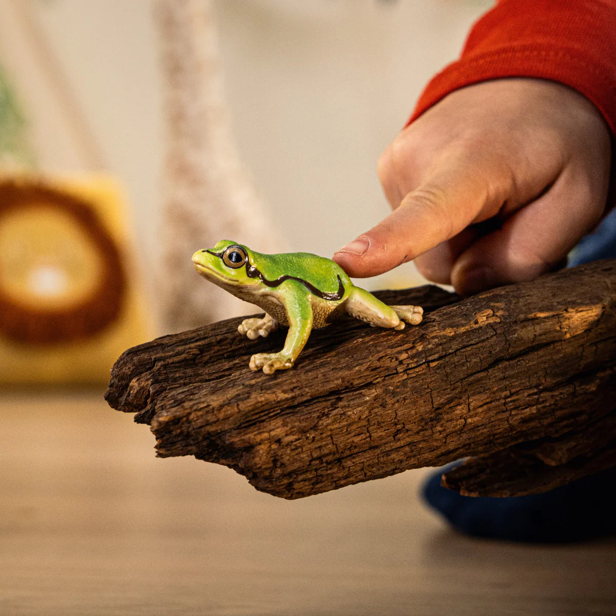 European Tree Frog perched on a piece of wood with a child's finger nearby showing its small size and bright green color
