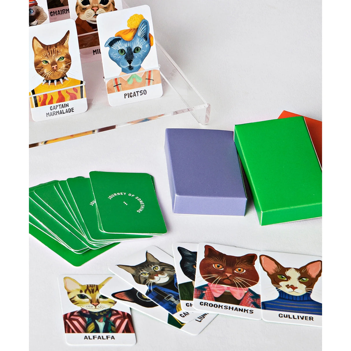 Guess the Feline Game