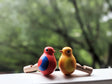 Itty Bitty Bird Whistle wooden eco-friendly bamboo whistles in red and yellow, perfect for party favors.