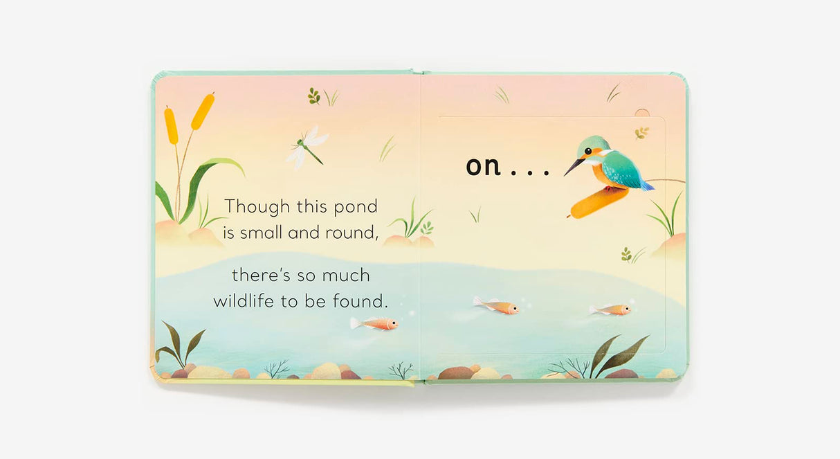 Open pages of "In the Pond Lift the Flap" showing pond scene with wildlife and simple rhyming text for young readers.