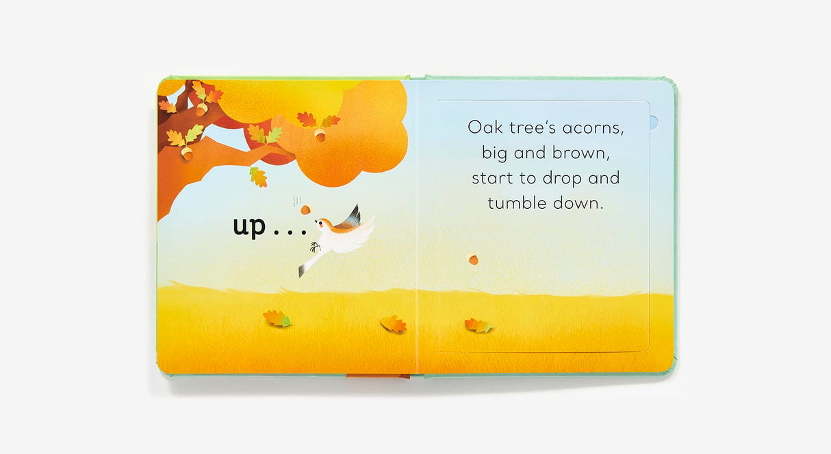 In the Tree Lift the Flap book open to a colorful autumn scene with acorns falling from an oak tree.