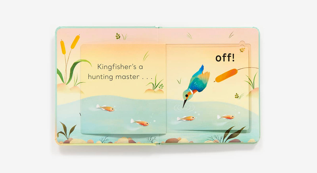 Open pages of "In the Pond Lift the Flap" showing a kingfisher diving underwater with lift-the-flap fish illustrations.