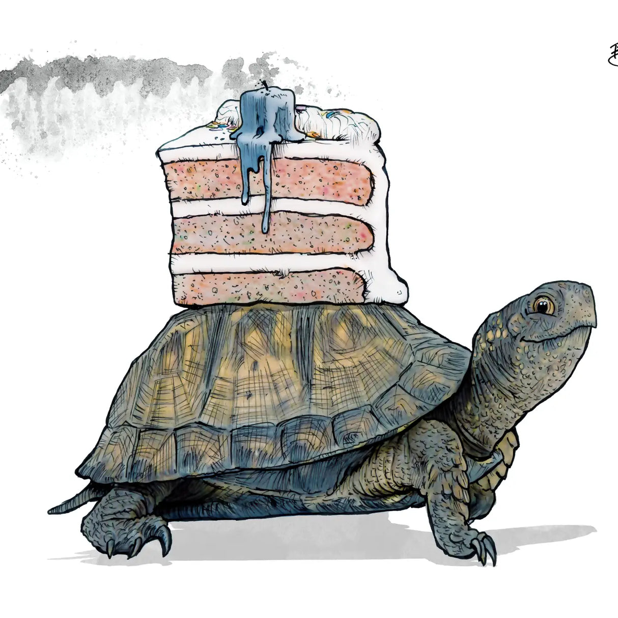 Illustration of a tortoise carrying a slice of cake on its back, Tortoise Cake Card with eco-friendly materials.