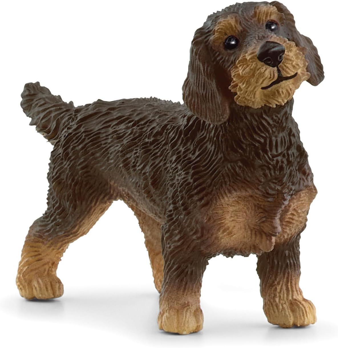 Wire-Haired Dachshund detailed figure with realistic texture and lifelike expression, perfect for play and display.