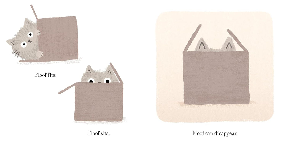 Floof picture book shows a fluffy cat fitting, sitting, and disappearing inside a box with cute, playful illustrations.