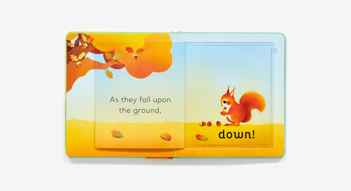 Open pages of In the Tree Lift the Flap book showing a squirrel and acorns with interactive lift-the-flap feature.