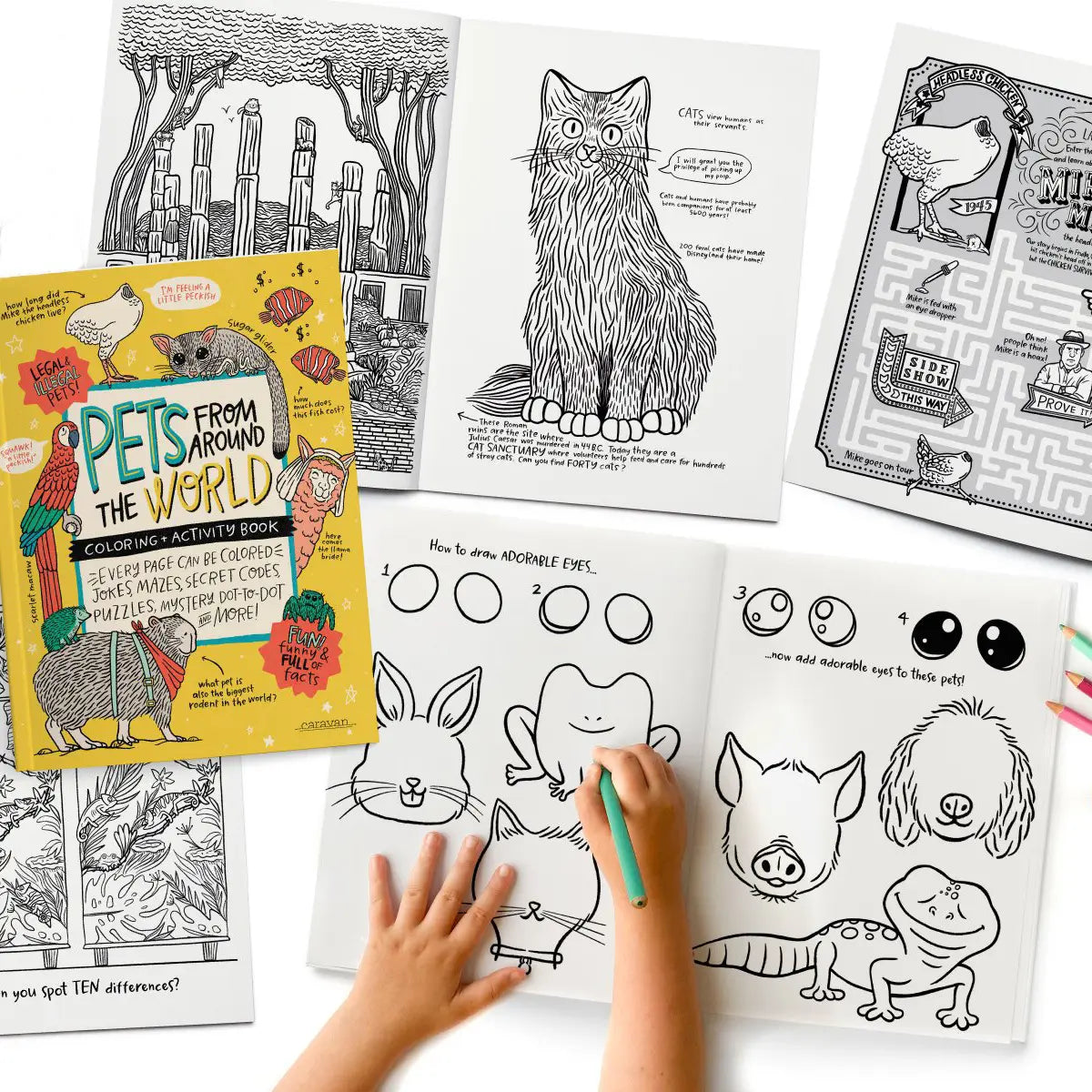 Child coloring animal illustrations and solving puzzles in the Pets From Around the World activity book