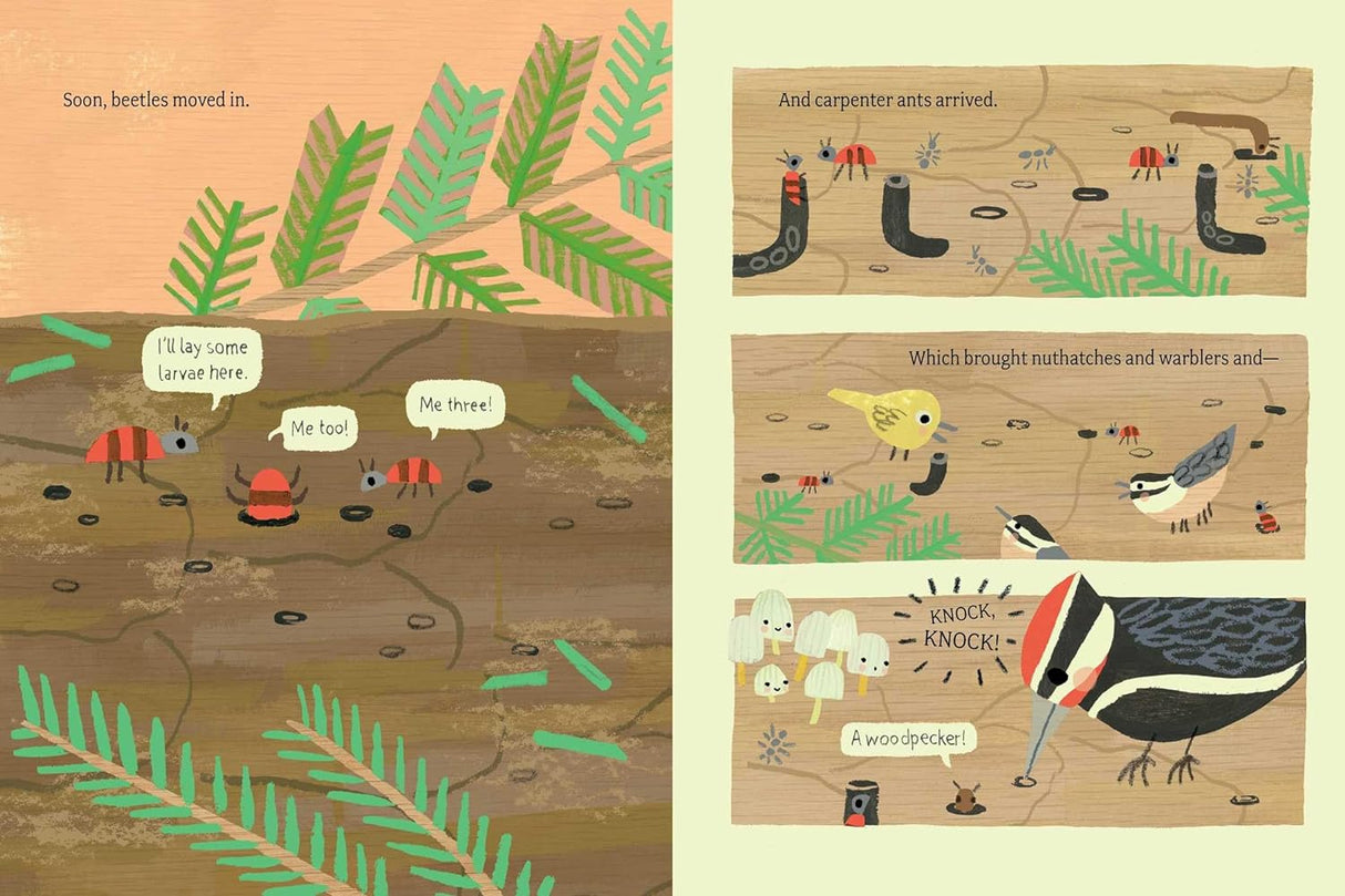 Log Life book illustration showing beetles, carpenter ants, birds, and a woodpecker in a nurse log ecosystem.