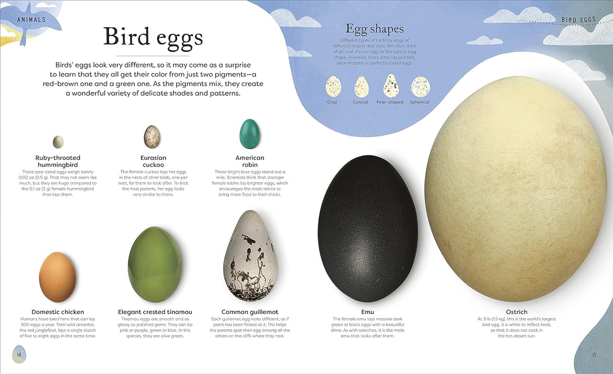 Nature's Treasures book page showing various bird eggs with descriptions and egg shapes for young readers.