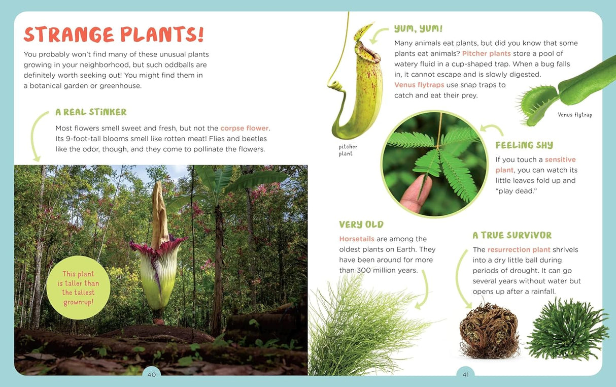 Backpack Explorer: Discovering Plants and Flowers open book showing unusual plants and interactive nature activities for kids.
