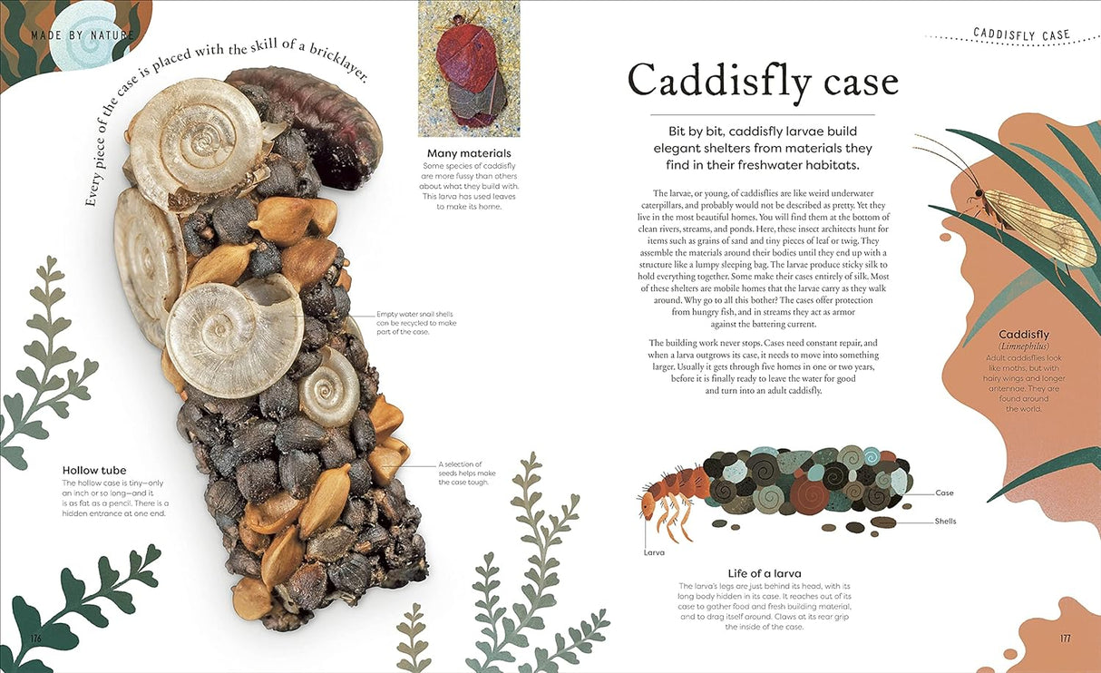 Nature's Treasures book open to detailed page about caddisfly case with photos and illustrations.