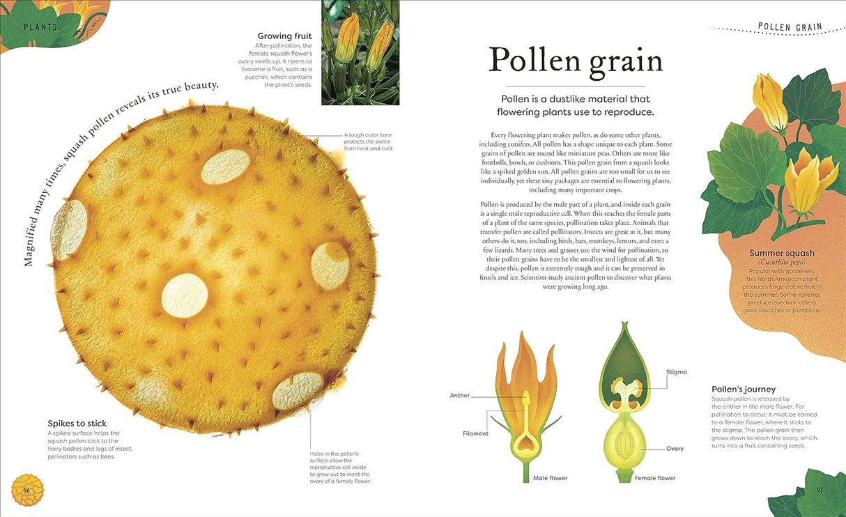 Nature's Treasures book spread showing detailed illustration and info about pollen grain and its role in plant reproduction.
