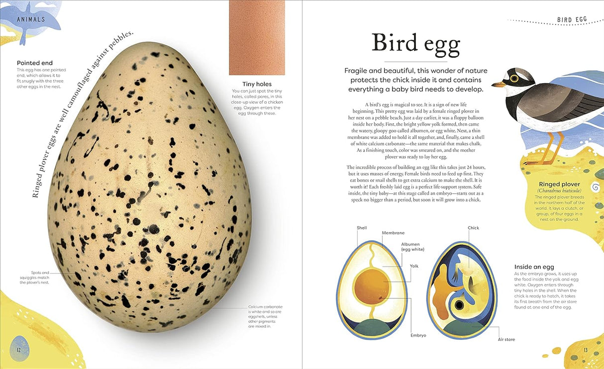 Nature's Treasures book open to a detailed bird egg illustration with educational text and colorful graphics.