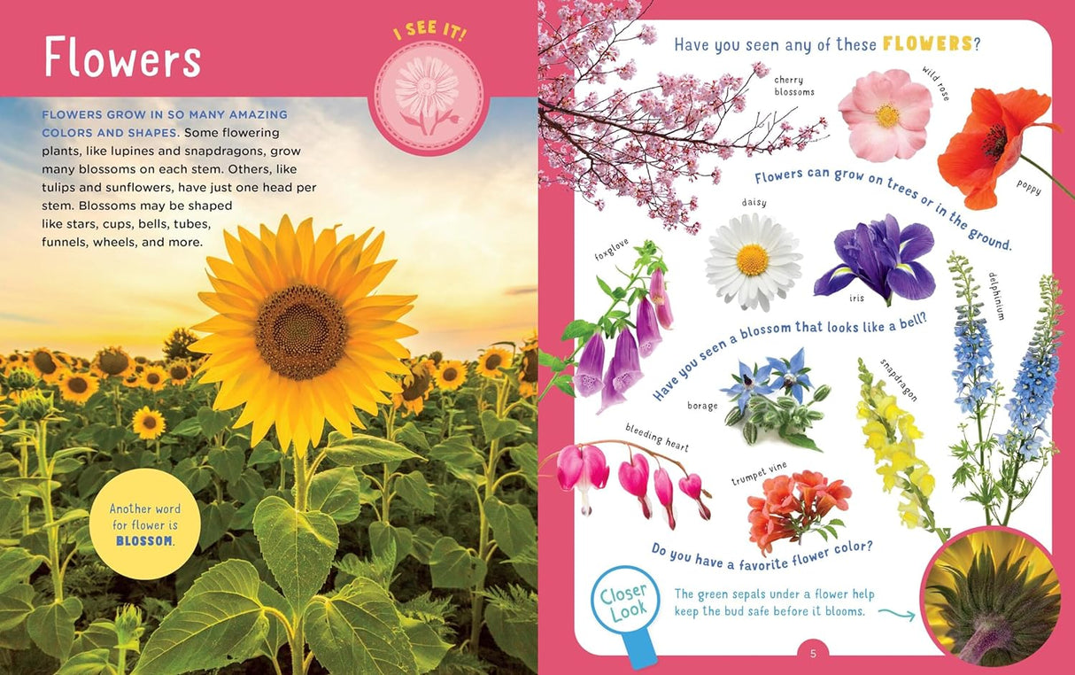 Backpack Explorer: Discovering Plants and Flowers showing colorful wildflowers and educational plant science activities for kids.