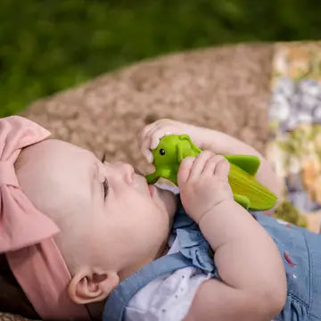 Organic Rubber Teether Rattle | Grasshopper held by baby, made of natural rubber for soothing teething gums.