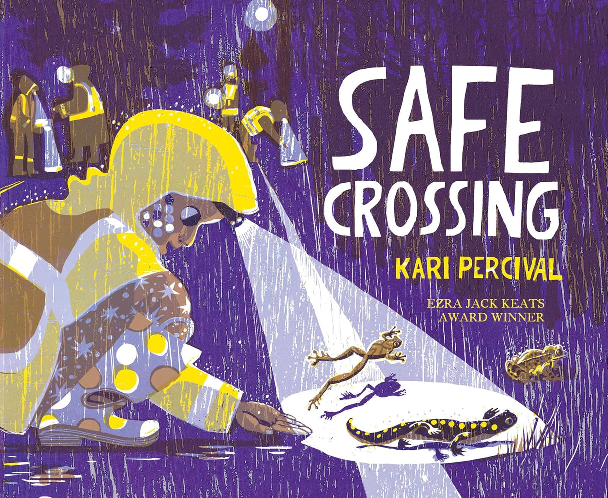 Illustration from Safe Crossing showing a volunteer guiding amphibians safely across a road at night.