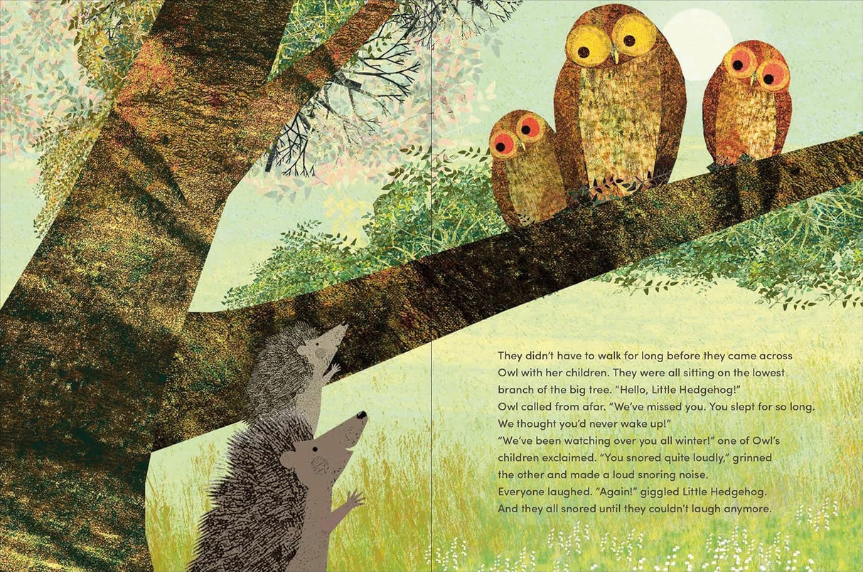 Again! book illustration showing owls on a branch and two hedgehogs looking up in a softly colored forest scene.