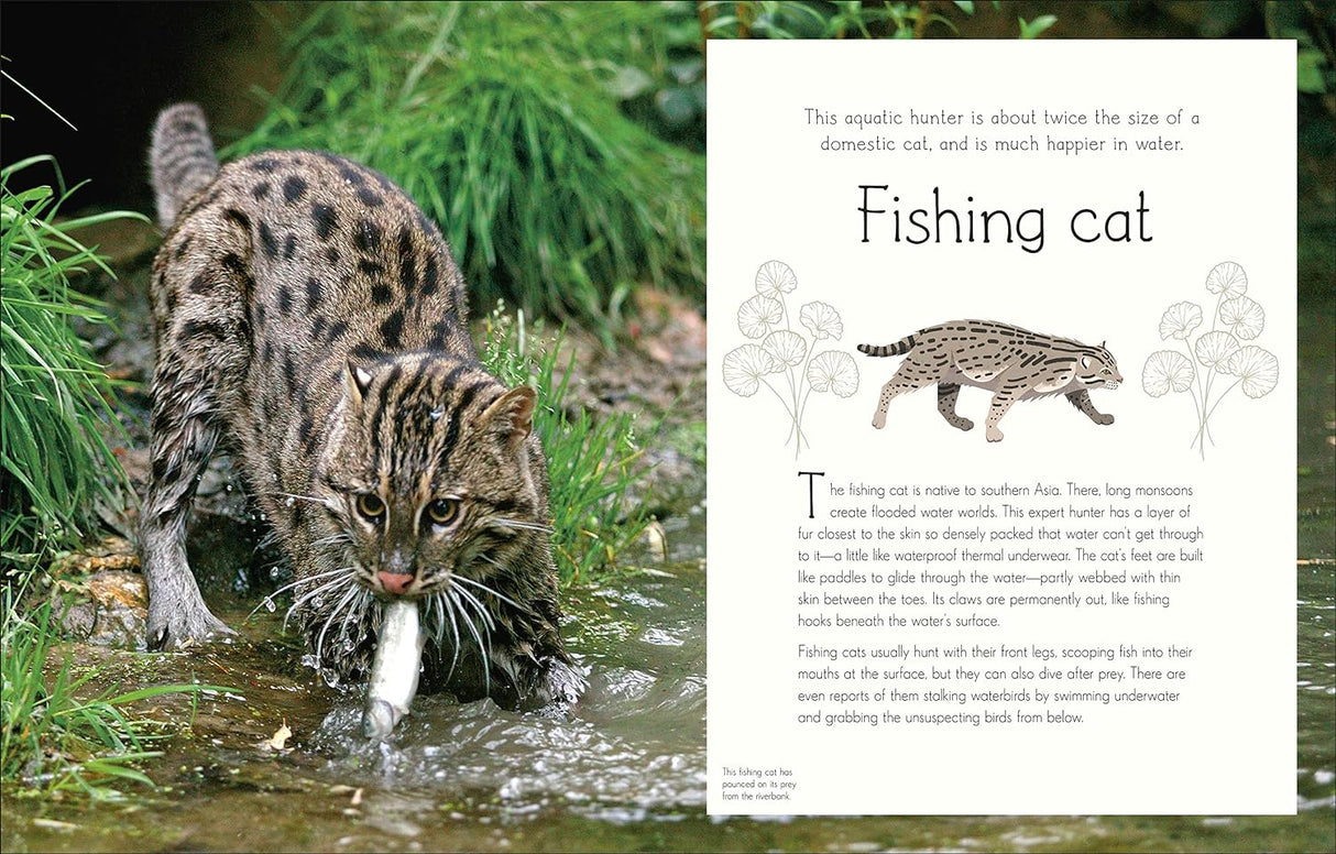 Anthology of Aquatic Life showing a fishing cat catching fish with educational text and illustration on water habitats.