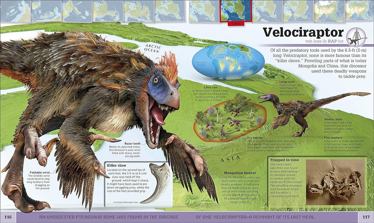 Smithsonian Dinosaur Atlas page showing a detailed, illustrated Velociraptor with facts and prehistoric map.