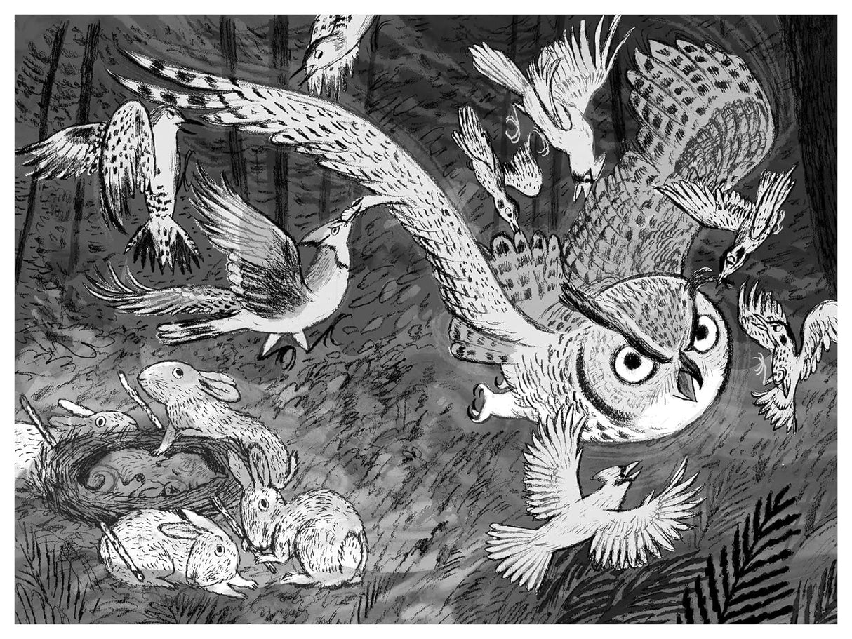 The Remarkable Rescue at Milkweed Meadow black-and-white illustration of owls, robins, and rabbits in a forest setting.
