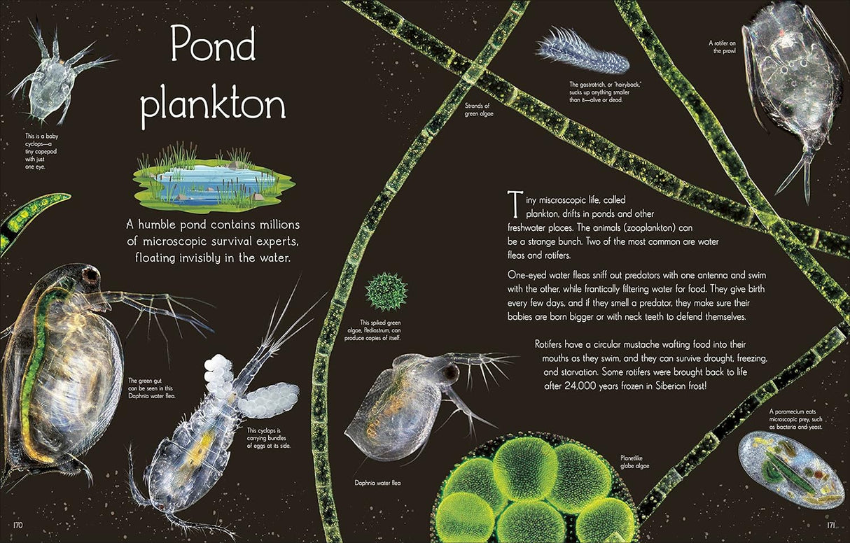 Anthology of Aquatic Life showing detailed illustrations and descriptions of diverse pond plankton microscopic creatures.