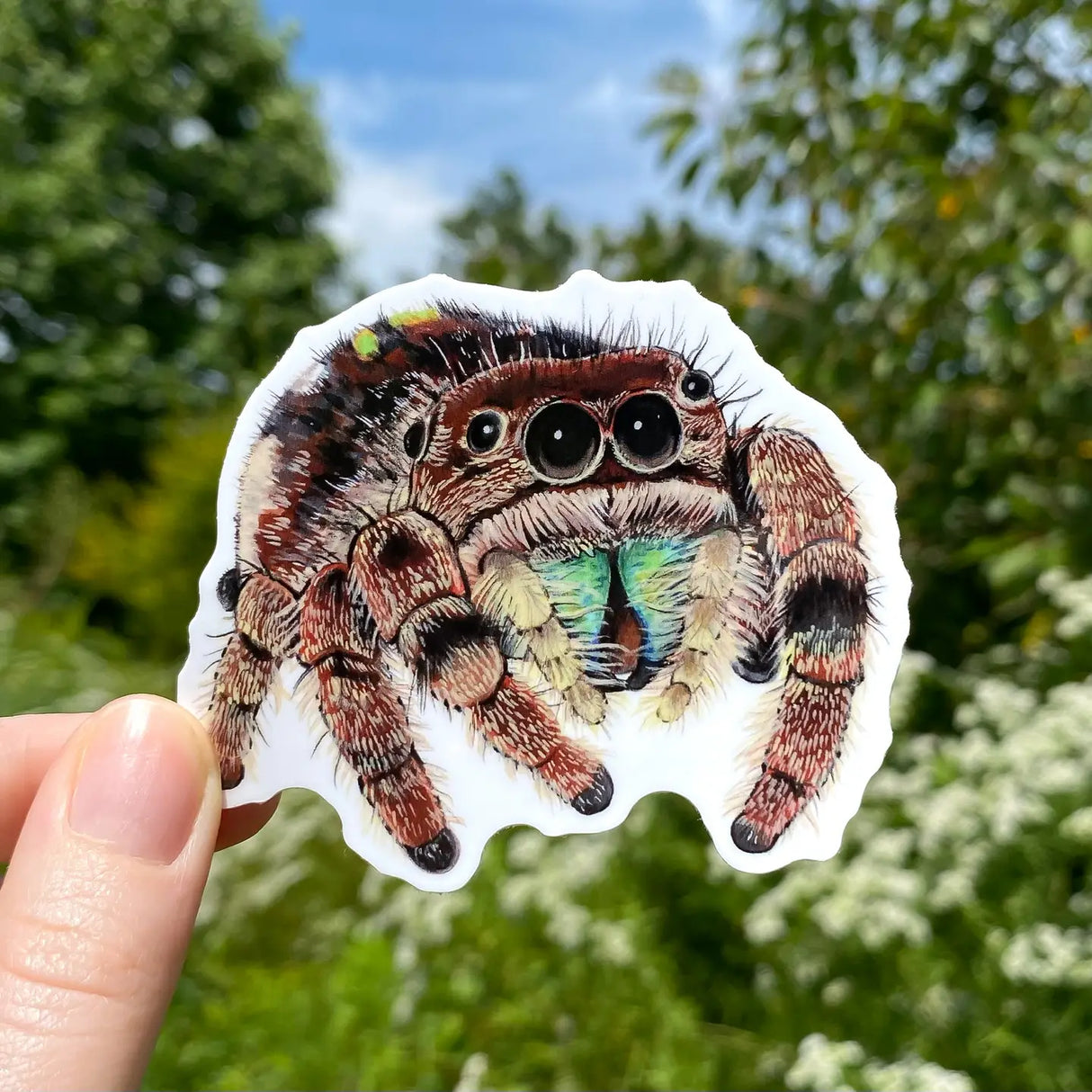 Hand holding a detailed Jumping Spider Sticker outdoors, showcasing the durable, weatherproof vinyl design.