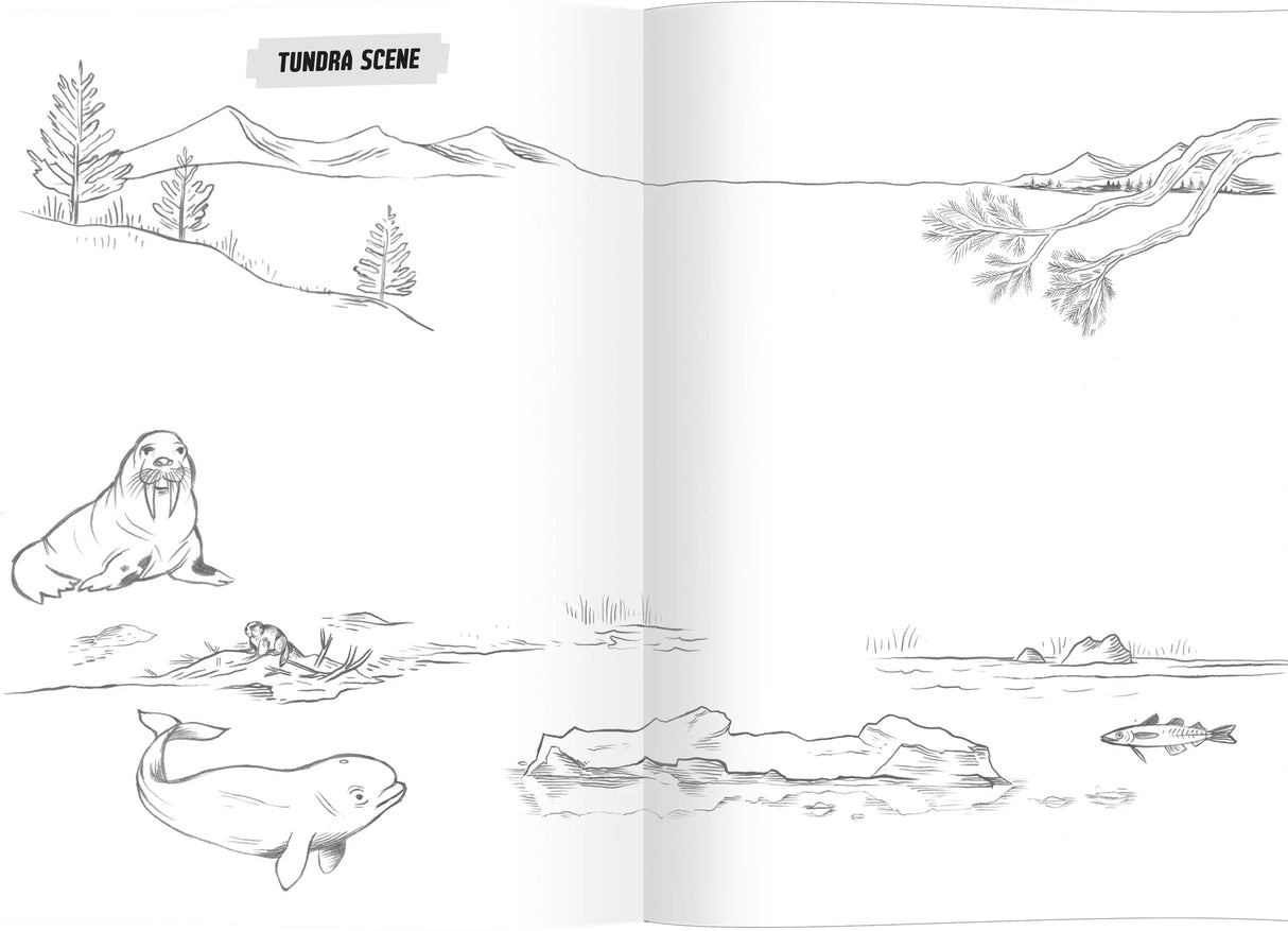 Learn to Draw | Wild Animals book page showing a tundra scene with animals and landscape sketches.