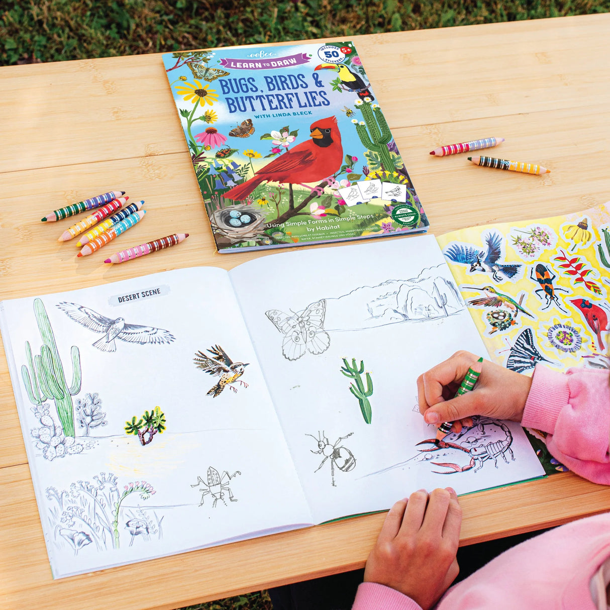 Learn to Draw | Bugs, Birds & Butterflies book with crayons, stickers, and drawing in progress on desert wildlife.