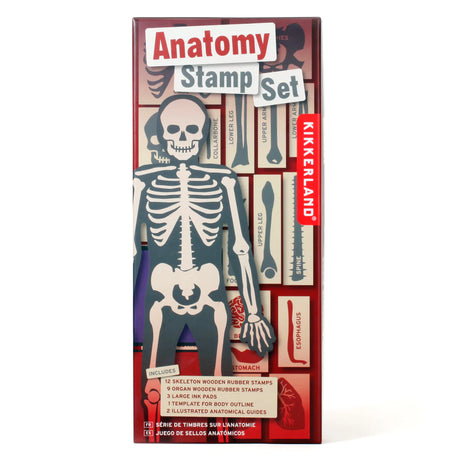 Anatomy Stamp Set with 21 skeleton rubber stamps, ink pads, and educational stencil for learning body parts.