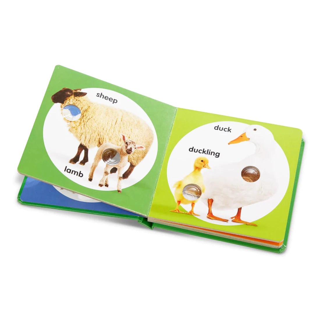 Poke A Dot! Farm Animal Families interactive board book featuring sheep with lamb and duck with duckling.