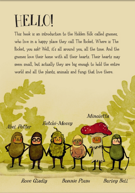 The Hidden World of Gnomes book page showing friendly gnome characters in The Pocket woodland setting.