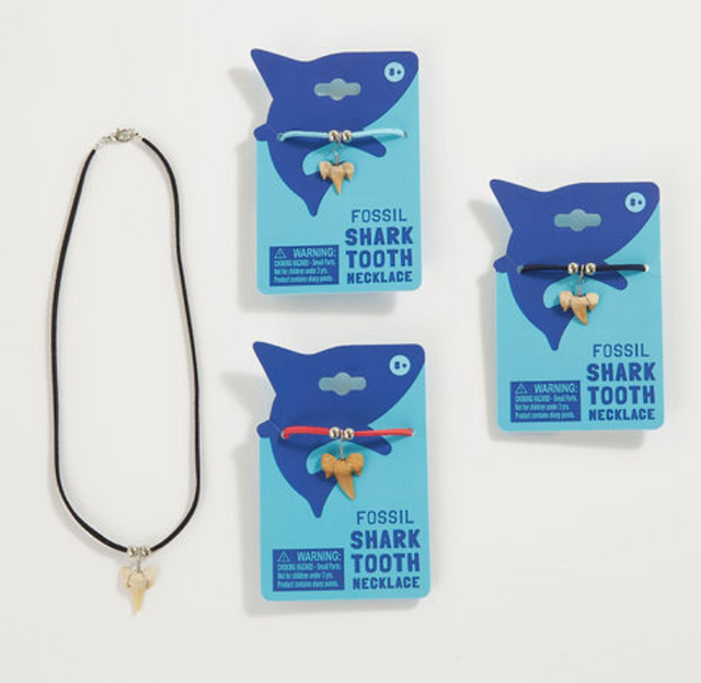 Shark Tooth Necklace with genuine fossilized shark tooth on a microsuede cord in assorted colors, ready to wear.