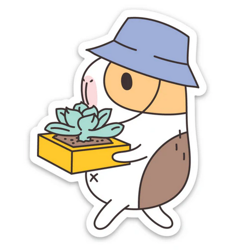 Guinea Pig Succulent Gardener Sticker featuring a cute guinea pig holding a succulent in a yellow pot wearing a blue hat.
