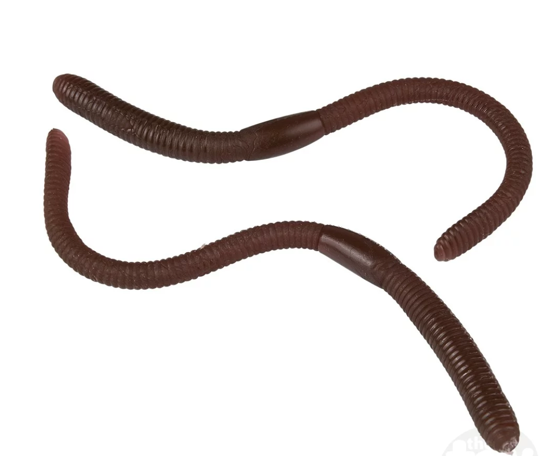Two brown realistic toy worms for pranking and fun, part of the Gross Worms collection for children ages 3 and up.