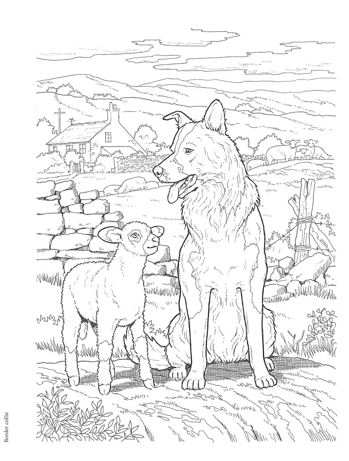 Dog Lovers Coloring Book page with a detailed line drawing of a dog and lamb in a countryside scene.