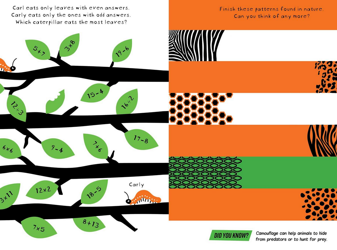 Brain Boosters | Nature Puzzles showing math leaves and nature pattern stripes for creative learning and fun.