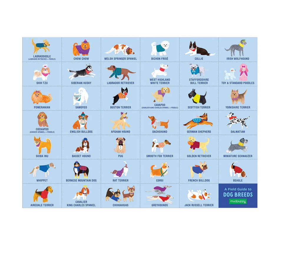 64pc Doggie Days Search & Find Puzzle showing illustrated dogs of various breeds with breed names in a colorful guide chart.