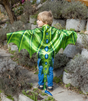 Soft Wings & Mask | Legendary Dragon green dragon wings costume worn by child playing outdoors with tail and eye mask included
