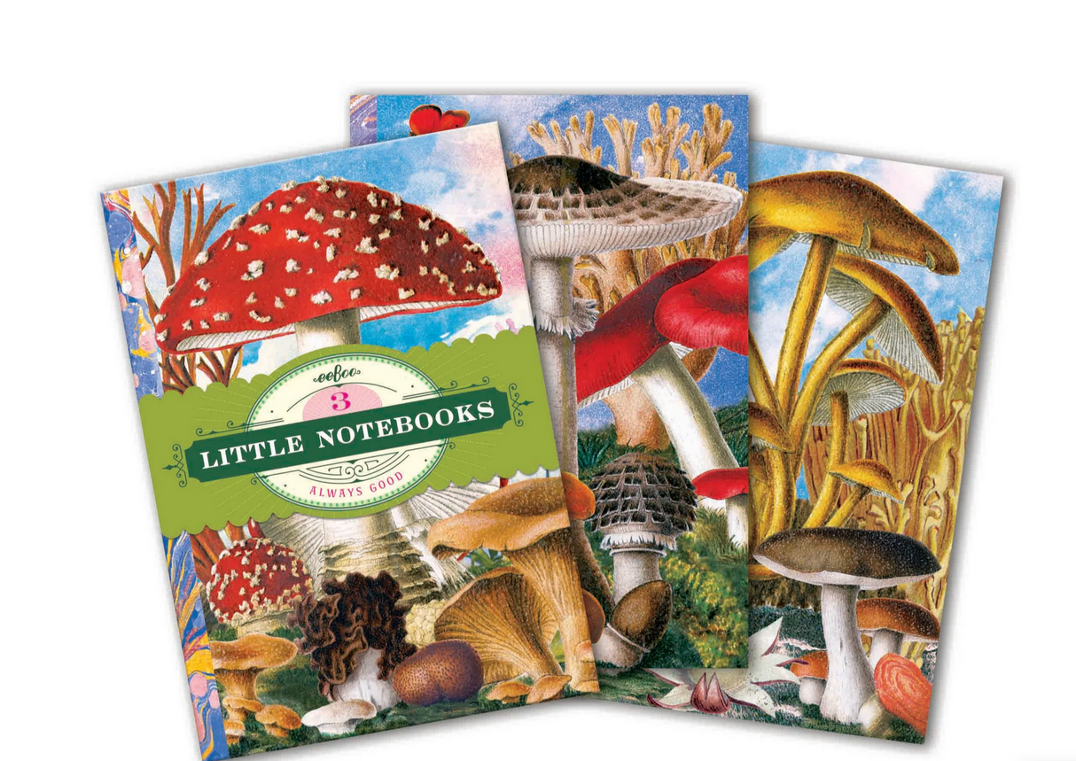 Three belly-banded Little Notebooks | Fumiha's featuring colorful mushroom collage art by Fumiha Tanaka.