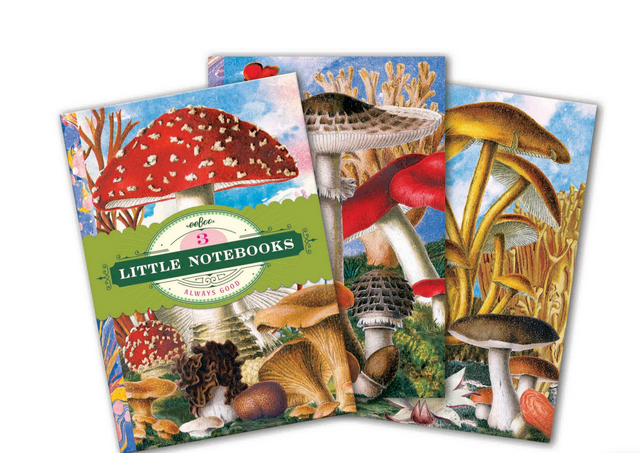 Three belly-banded Little Notebooks | Fumiha's featuring colorful mushroom collage art by Fumiha Tanaka.