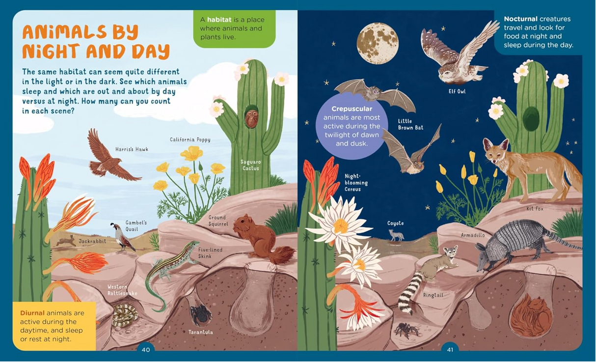 Backpack Explorere: Night Walk showing animals active by day and night with labeled wildlife illustrations and habitats.