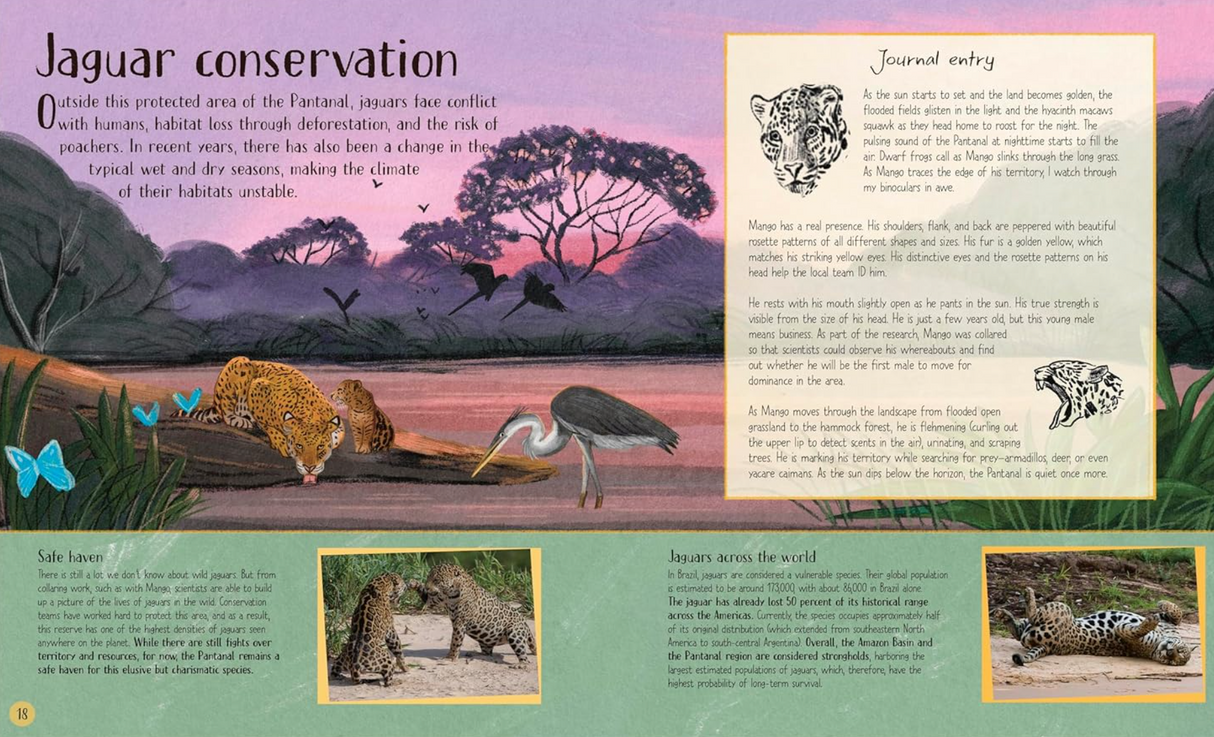 Life in the Wild book page showing jaguar conservation with images of jaguars and a sunset in the Pantanal.