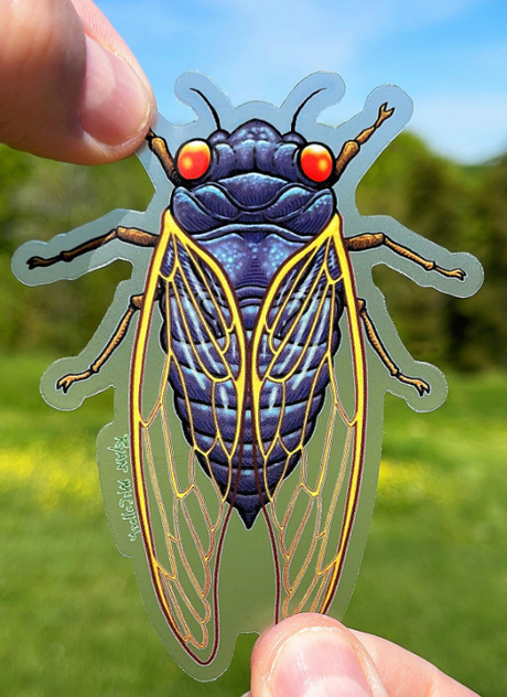 Cicada Sticker held between fingers outdoors, showing detailed vibrant insect design with red eyes and yellow wing accents.