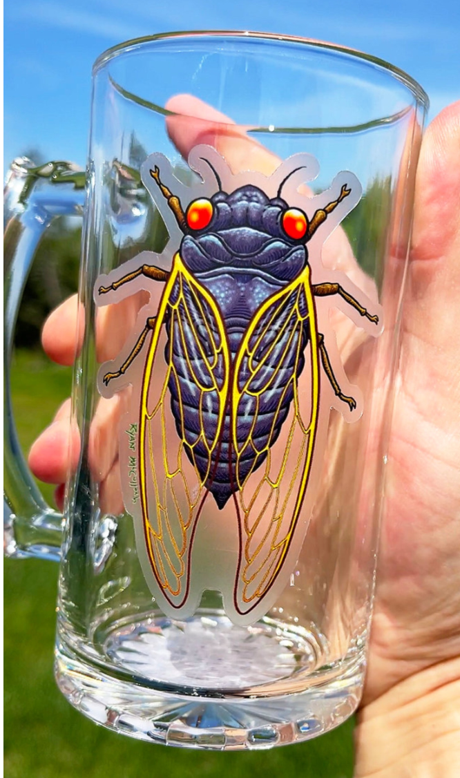 Cicada Sticker shown on a clear glass mug outdoors, featuring vibrant colors and detailed insect design.
