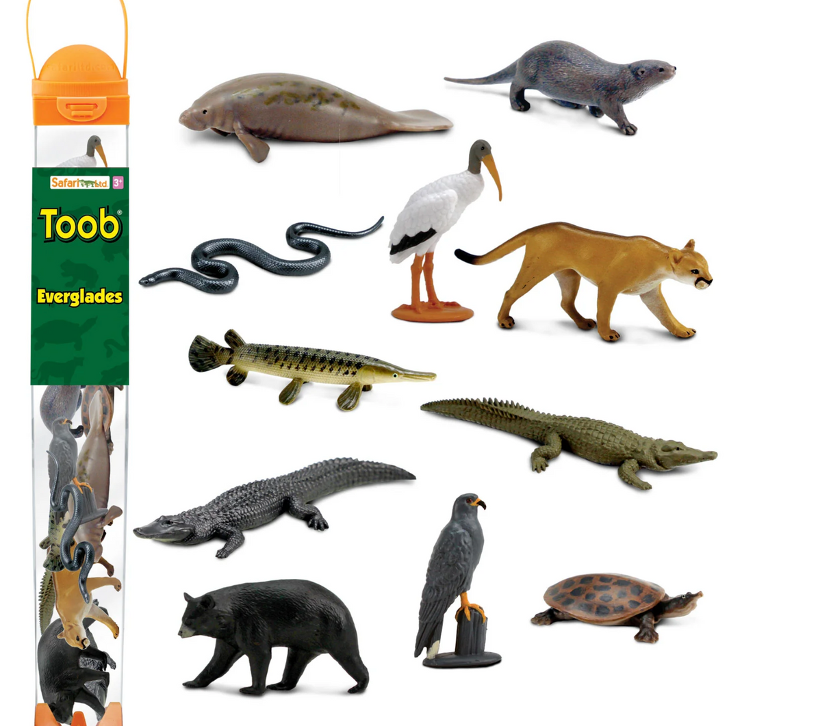 TOOB | Everglades with 11 detailed miniature animal figures from Florida's unique wetland ecosystem in reusable packaging.